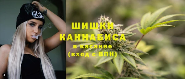 стаф Володарск