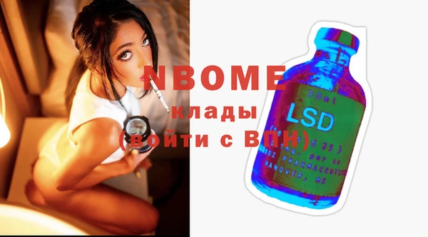 сатива Верея