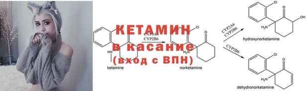 стаф Володарск