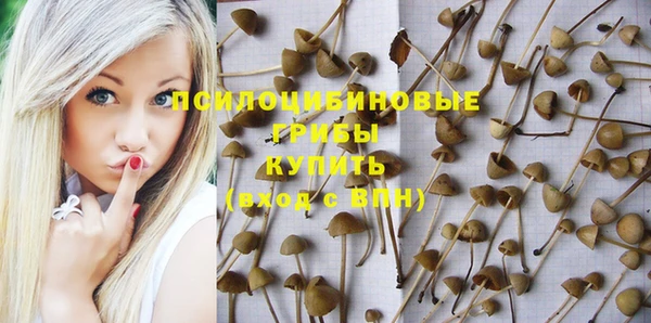 стаф Володарск