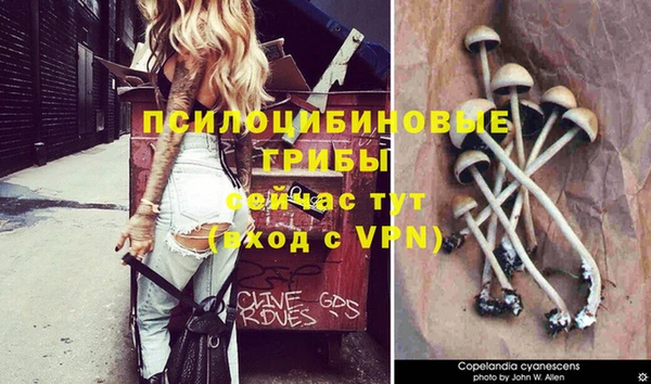 амф Волосово