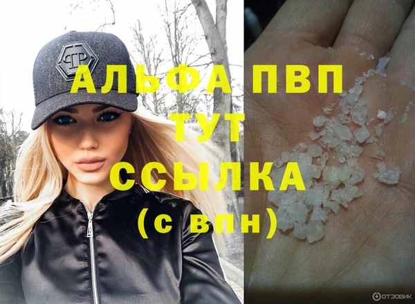 стаф Володарск